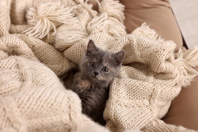 Photo of Cute fluffy kitten on soft knitted blanket