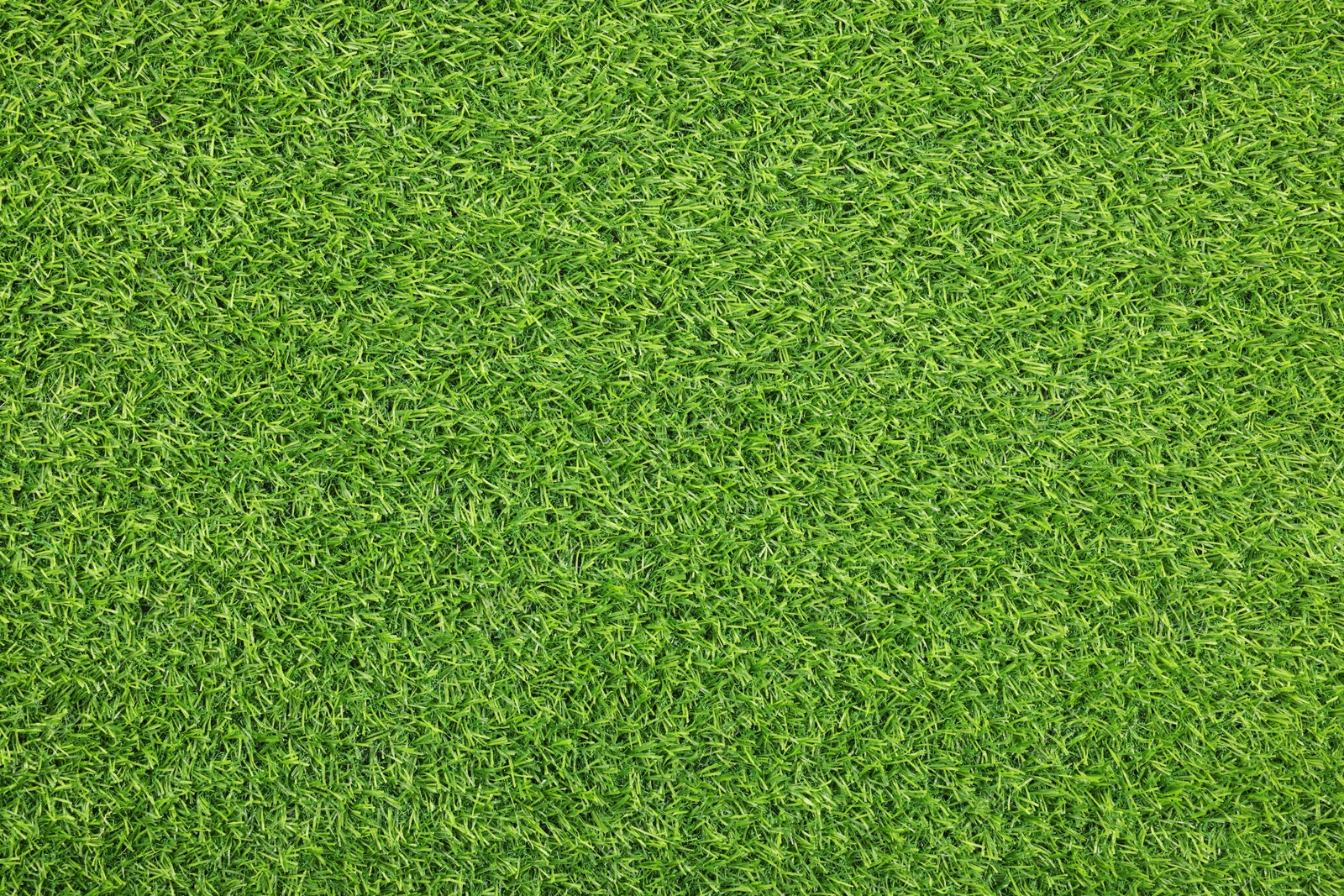 Photo of Green artificial grass as background, top view