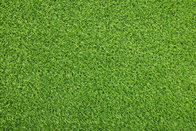 Green artificial grass as background, top view