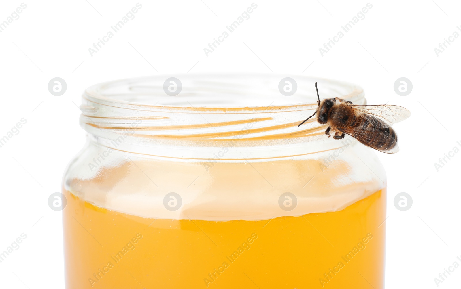 Photo of Jar with honey and bee on white background