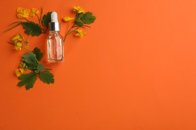 Bottle of natural celandine oil and flowers on orange background, flat lay. Space for text