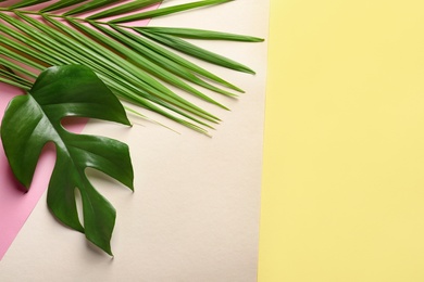 Different tropical leaves on color background, top view