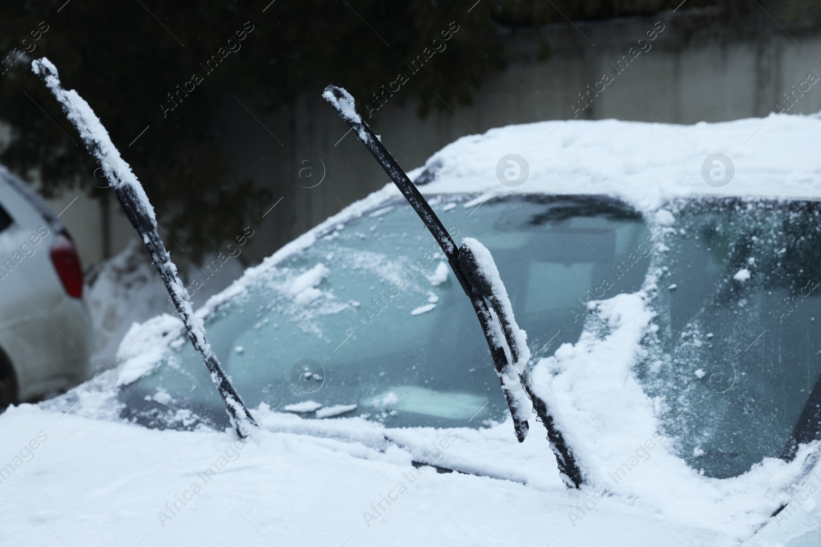 Photo of Car windshield with wiper blades cleaned from snow outdoors on winter day