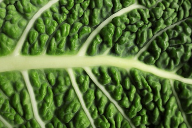 Photo of Green leaf of savoy cabbage as background, closeup