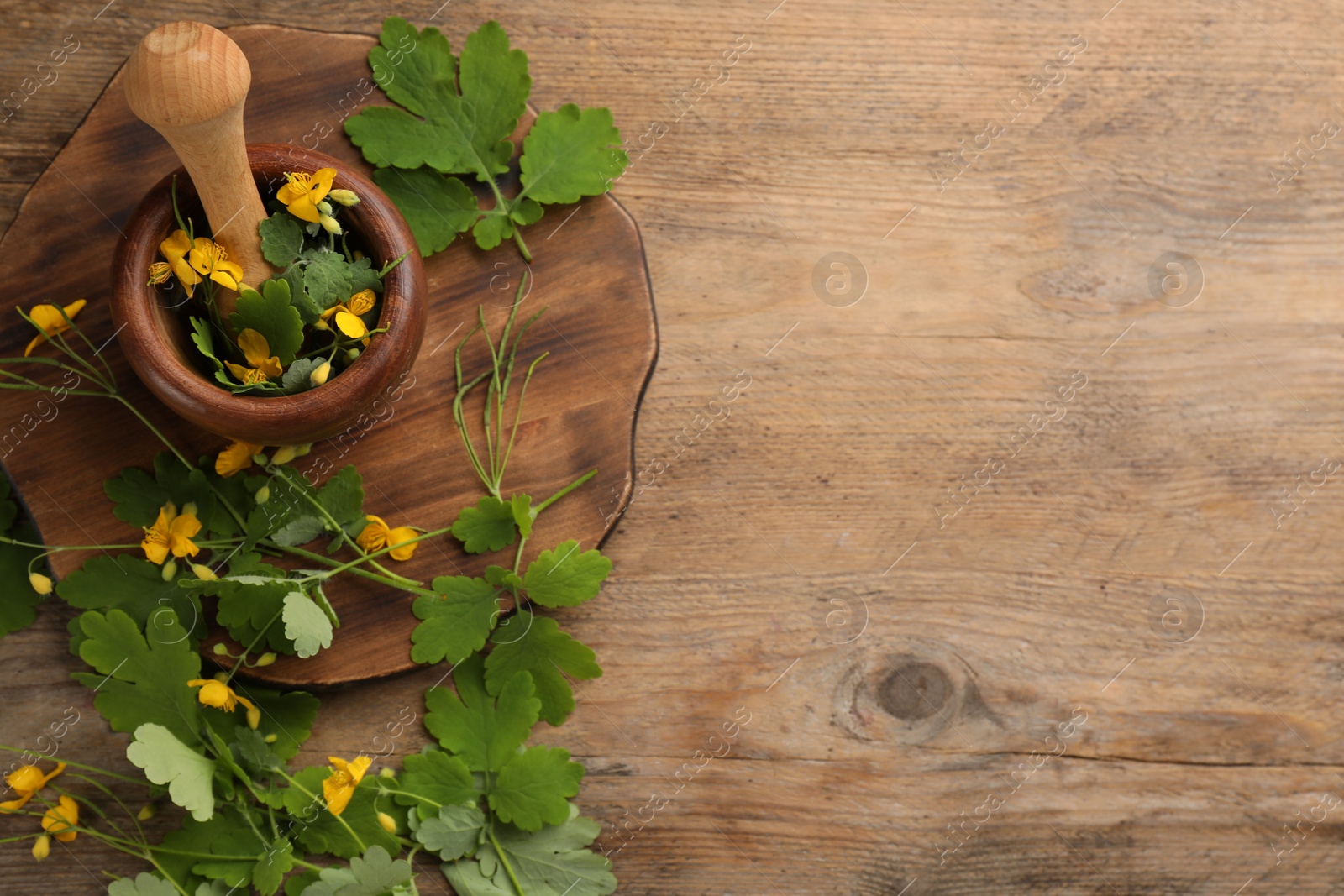 Photo of Celandine with mortar, pestle and board on wooden table, flat lay. Space for text