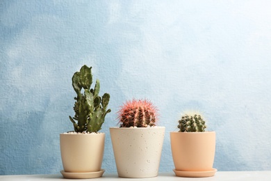 Photo of Beautiful cacti on color background