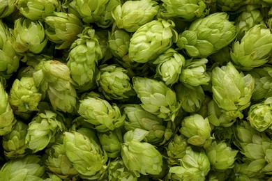 Photo of Fresh green hops as background, top view