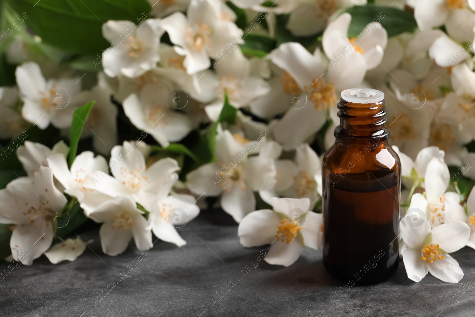 Photo of Jasmine essential oil and fresh flowers on grey table, space for text