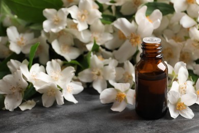 Jasmine essential oil and fresh flowers on grey table, space for text