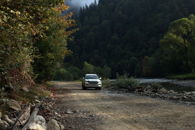 Photo of Modern white car on pathway in forest