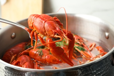 Spoon with fresh delicious crayfish over pot, closeup