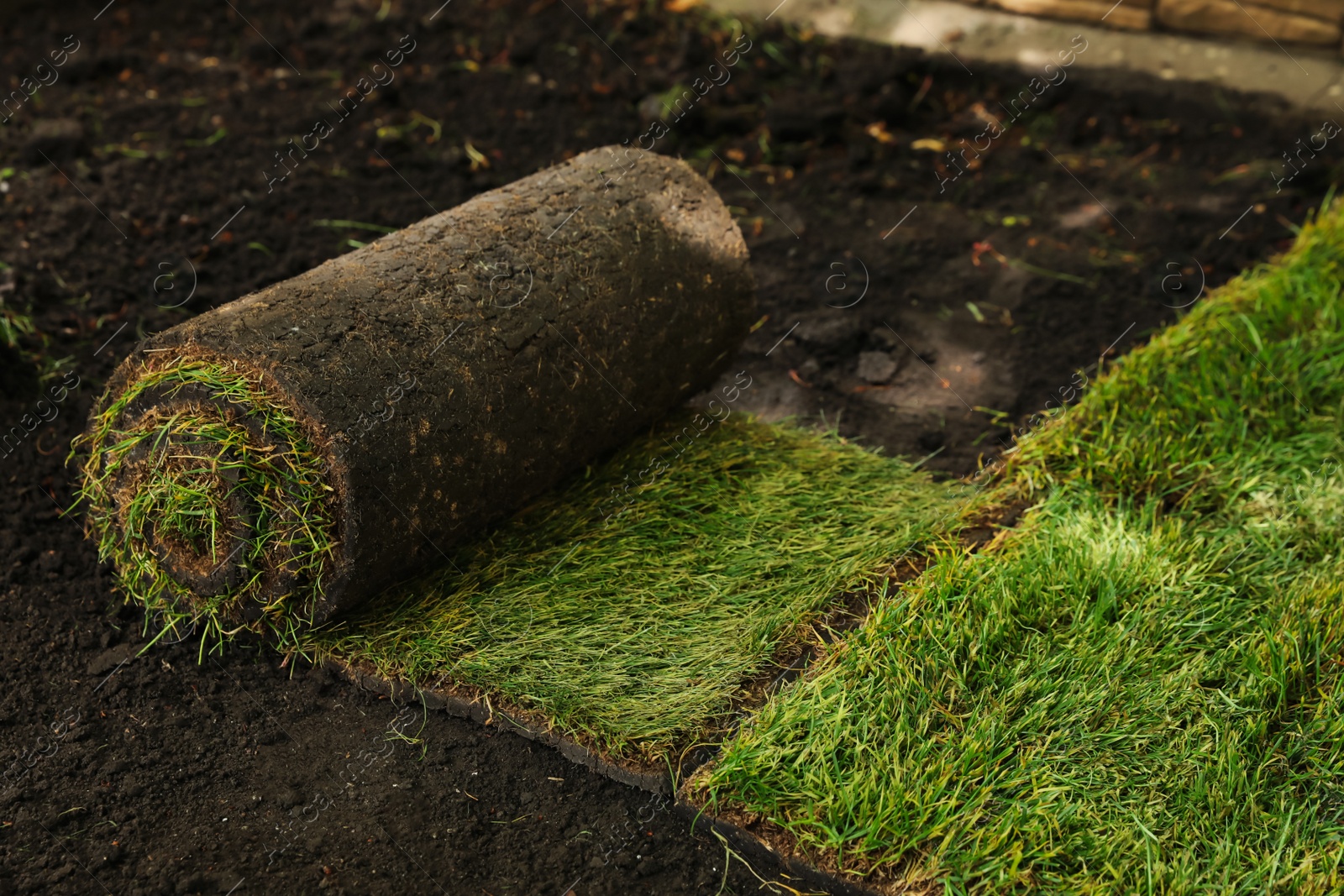 Photo of Rolled grass sod on ground in garden