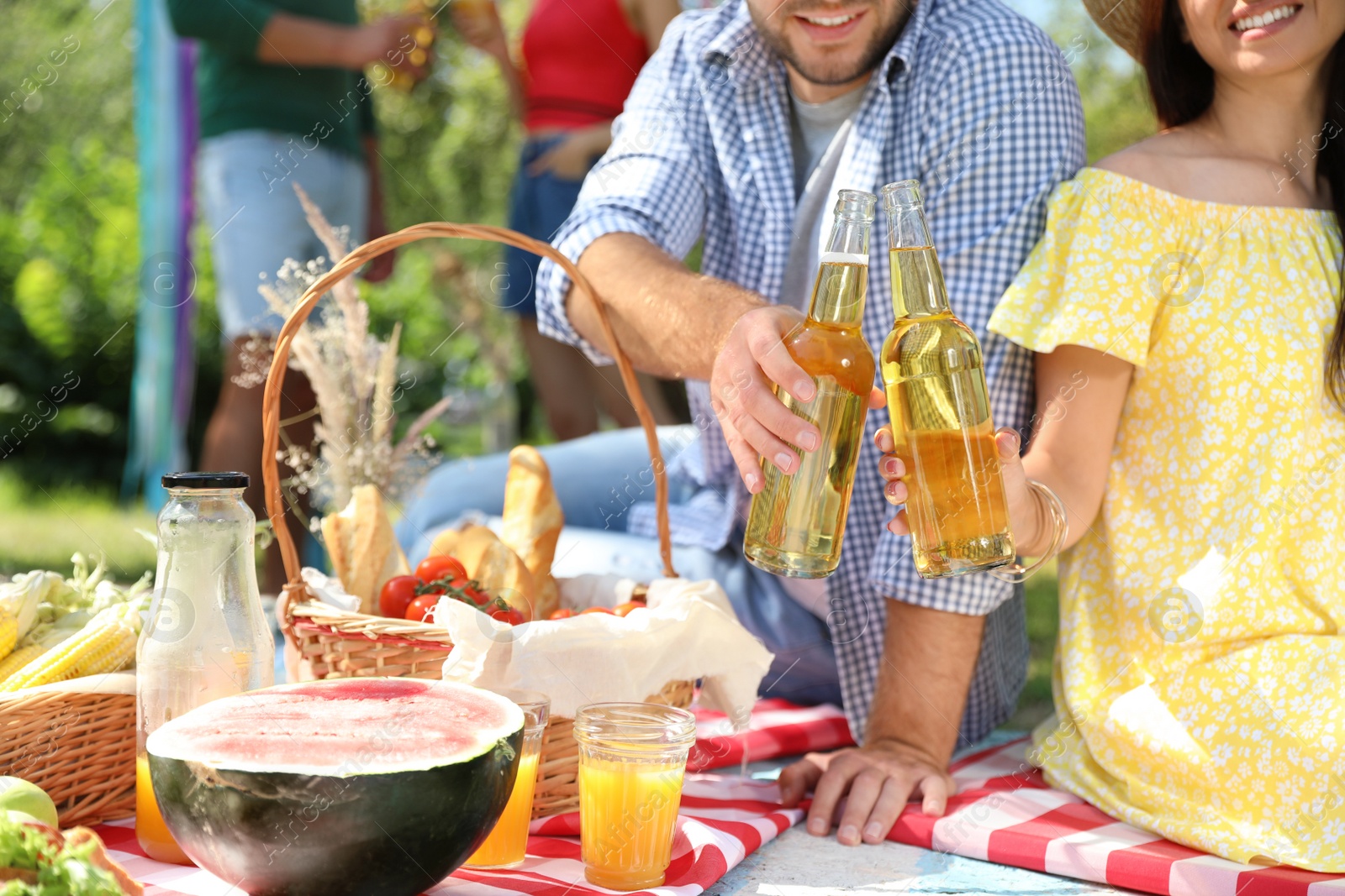 Photo of Young people enjoying picnic in park on summer day, closeup