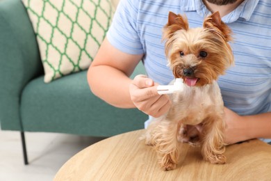 Photo of Man brushing dog's teeth on wooden table, closeup. Space for text