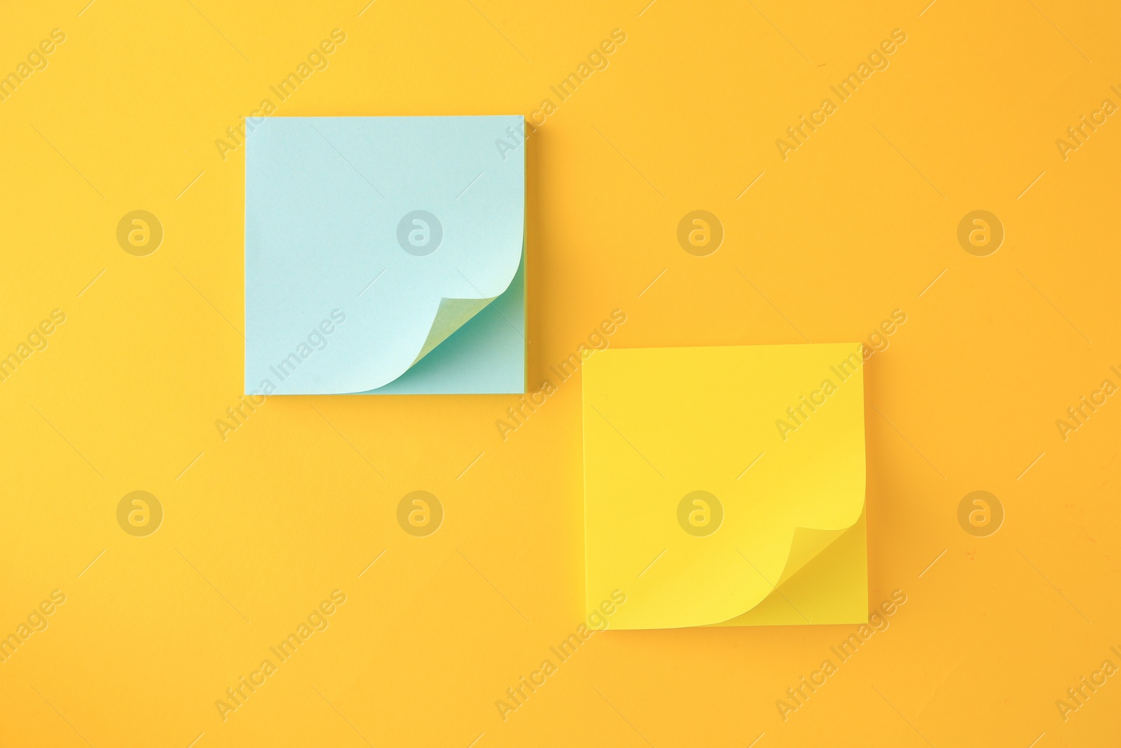 Photo of Blank paper notes on orange background, flat lay