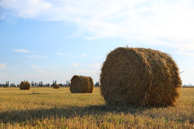Photo of Round rolled hay bales in agricultural field on sunny day