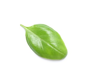 Photo of Fresh green basil leaf on white background