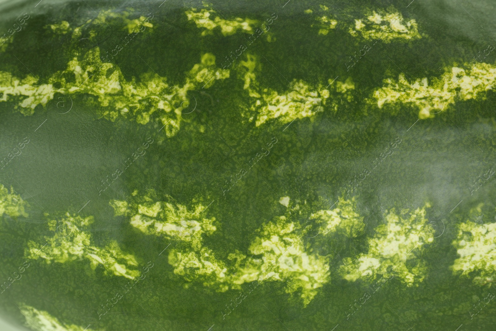 Photo of Delicious ripe whole watermelon as background, closeup