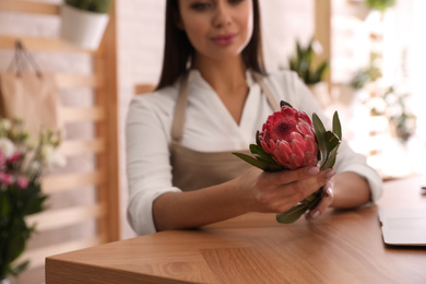 Photo of Florist with protea flower at table in store, closeup