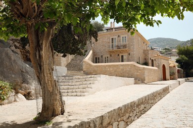 Picturesque view of city street with tree and beautiful building