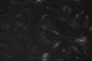 Photo of Pet hair on black fabric, top view