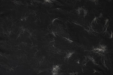 Pet hair on black fabric, top view