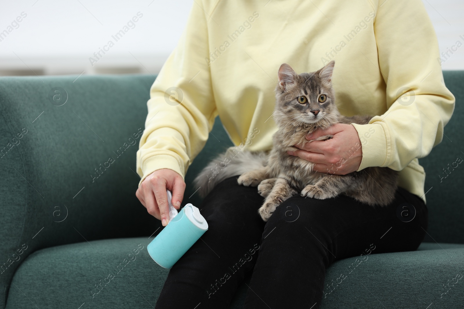 Photo of Pet shedding. Woman with lint roller removing cat`s hair from trousers on sofa at home, closeup