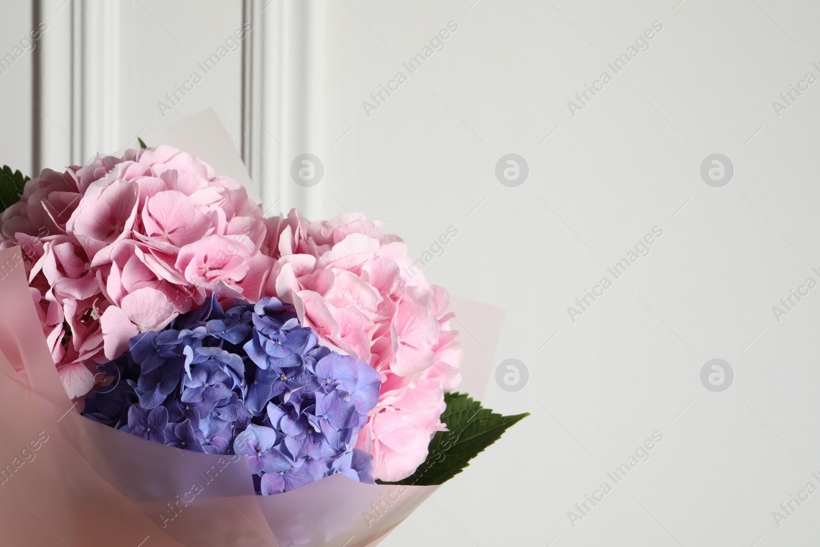 Photo of Bouquet of beautiful hortensia flowers near white wall. Space for text