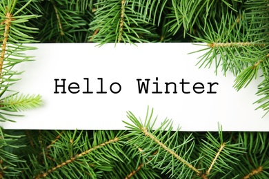 Image of Greeting card with text Hello Winter among green fir tree branches, top view