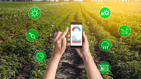 Image of Modern agriculture. Woman with smartphone in field and icons, closeup