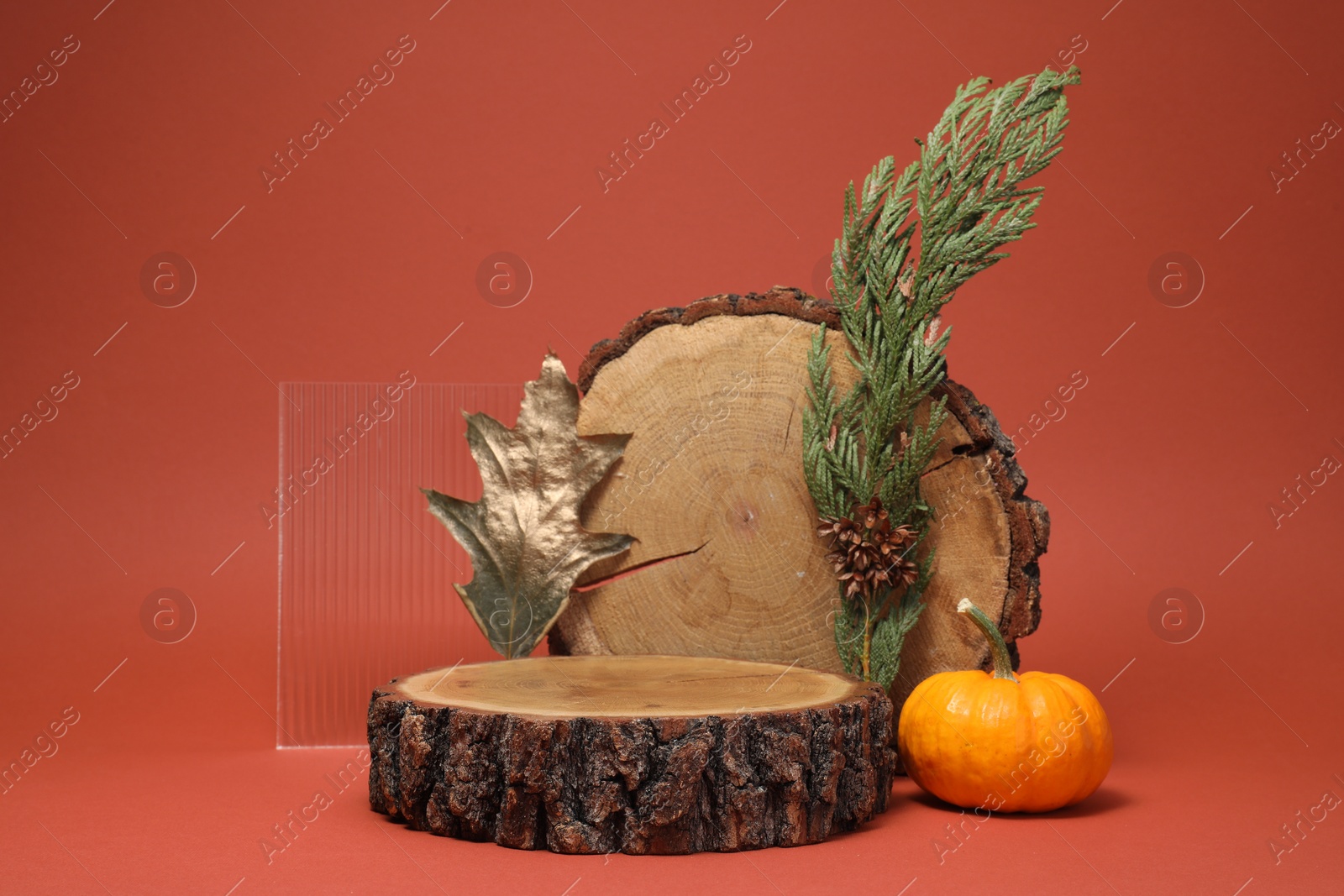 Photo of Stylish presentation for product. Wooden stumps, geometric figure and autumn decor on terracotta background