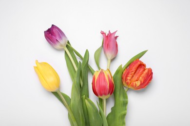 Beautiful colorful tulip flowers on white background, flat lay