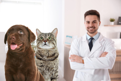 Image of Cute puppy with cat and young veterinarian in office