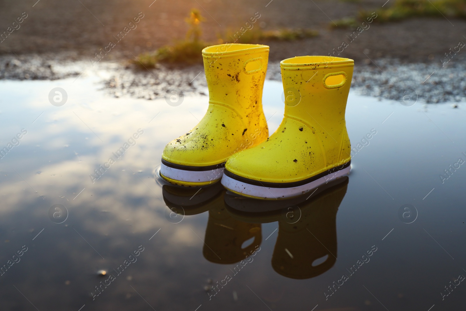 Photo of Yellow rubber boots in puddle outdoors, space for text. Autumn walk