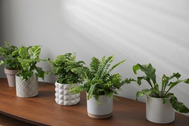 Beautiful fresh potted ferns on wooden table