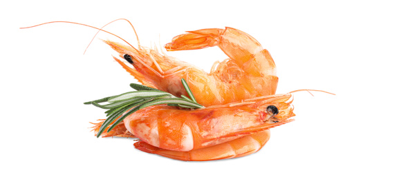Photo of Delicious cooked shrimps and rosemary isolated on white