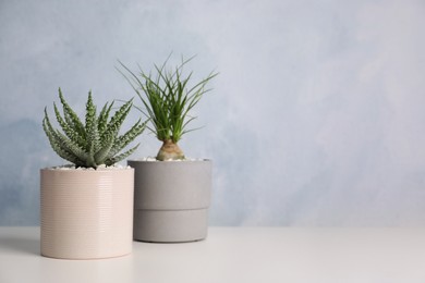 Photo of Beautiful Aloe and Nolina in pots on white table, space for text. Different house plants