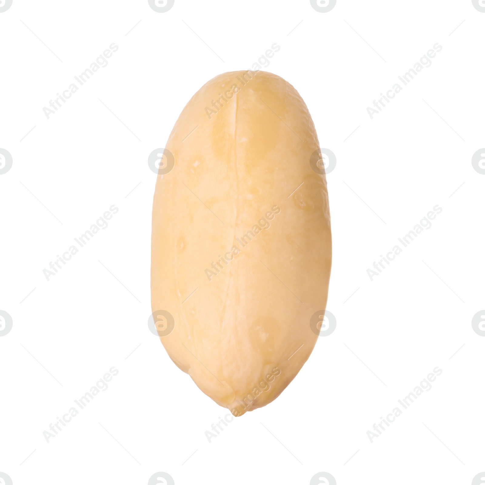 Photo of One fresh peeled peanut isolated on white