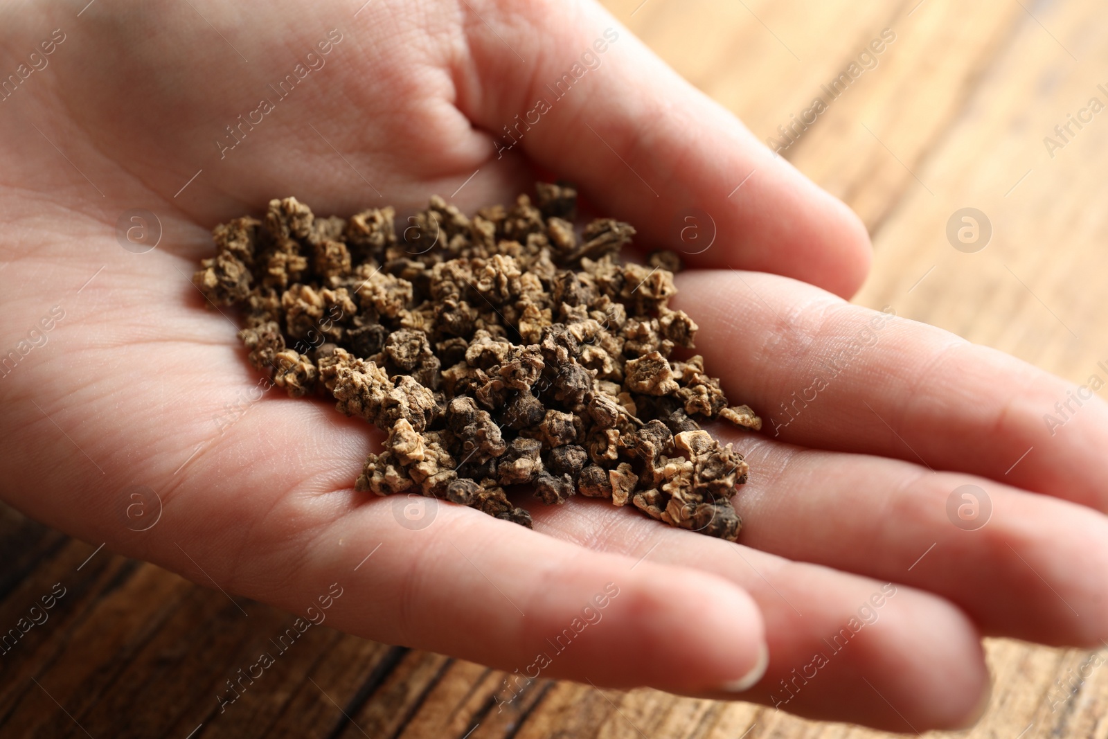 Photo of Woman holding pile of beet seeds over wooden table, closeup. Vegetable planting