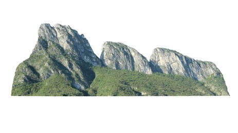 Beautiful mountain with green trees isolated on white