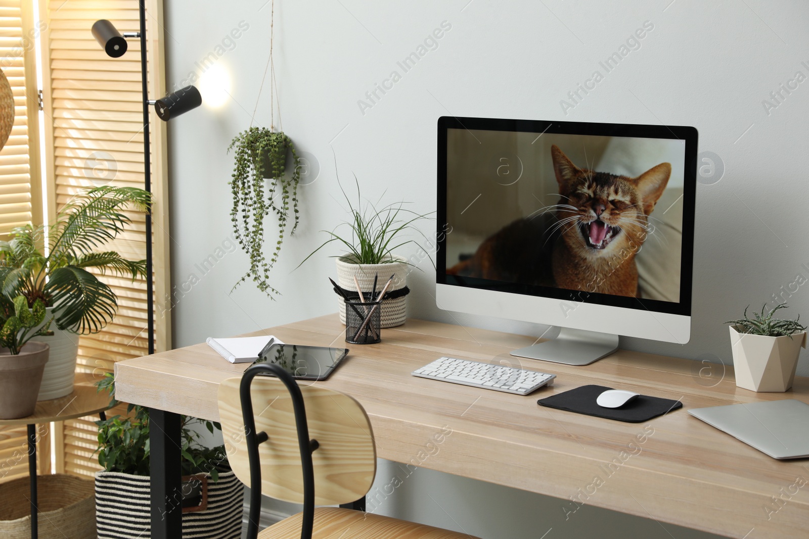 Photo of Comfortable workplace with computer in light room. Interior design