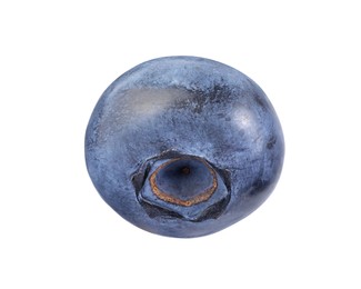 One fresh ripe blueberry isolated on white
