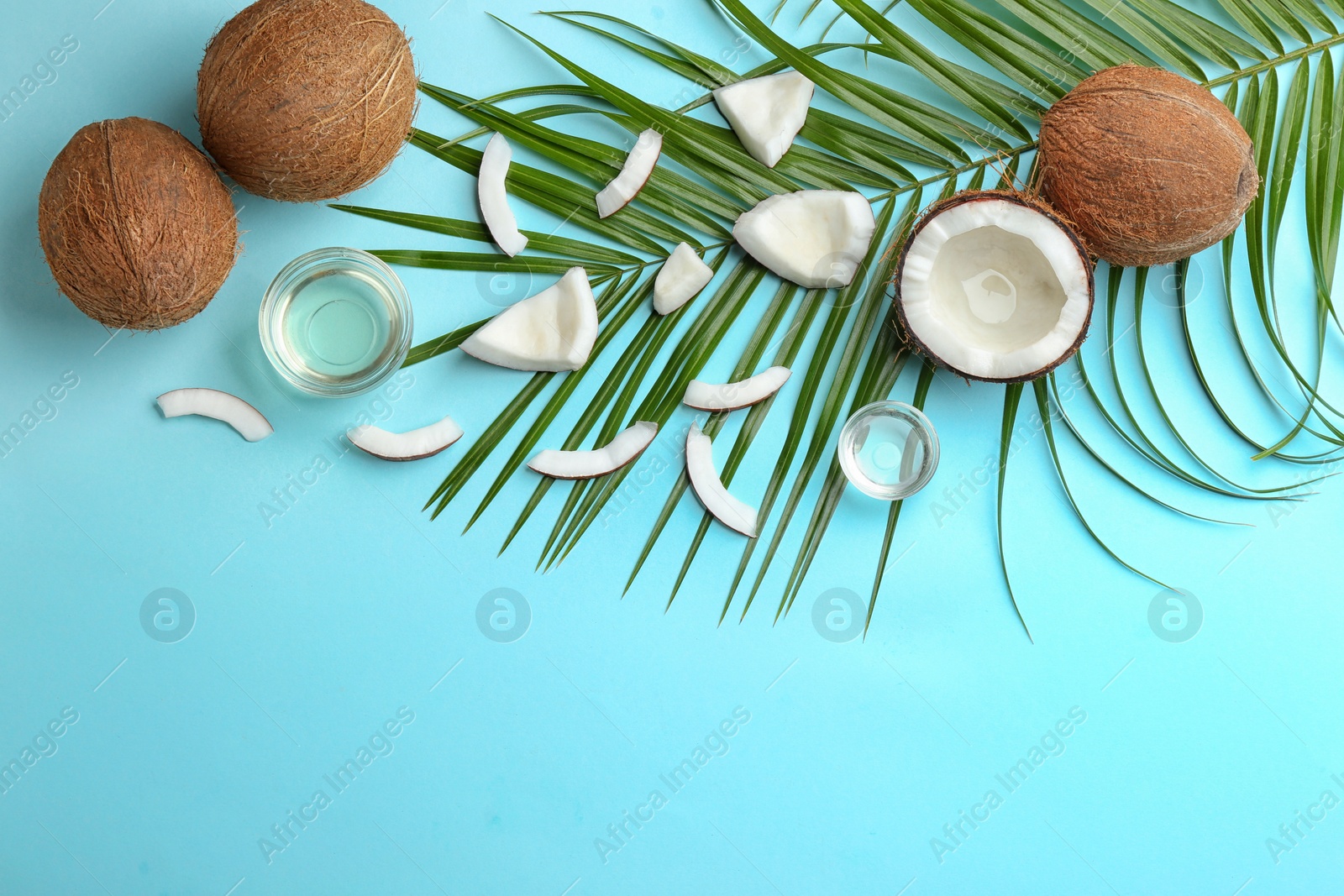 Photo of Flat lay composition with ripe coconuts, natural organic oil and space for text on blue background