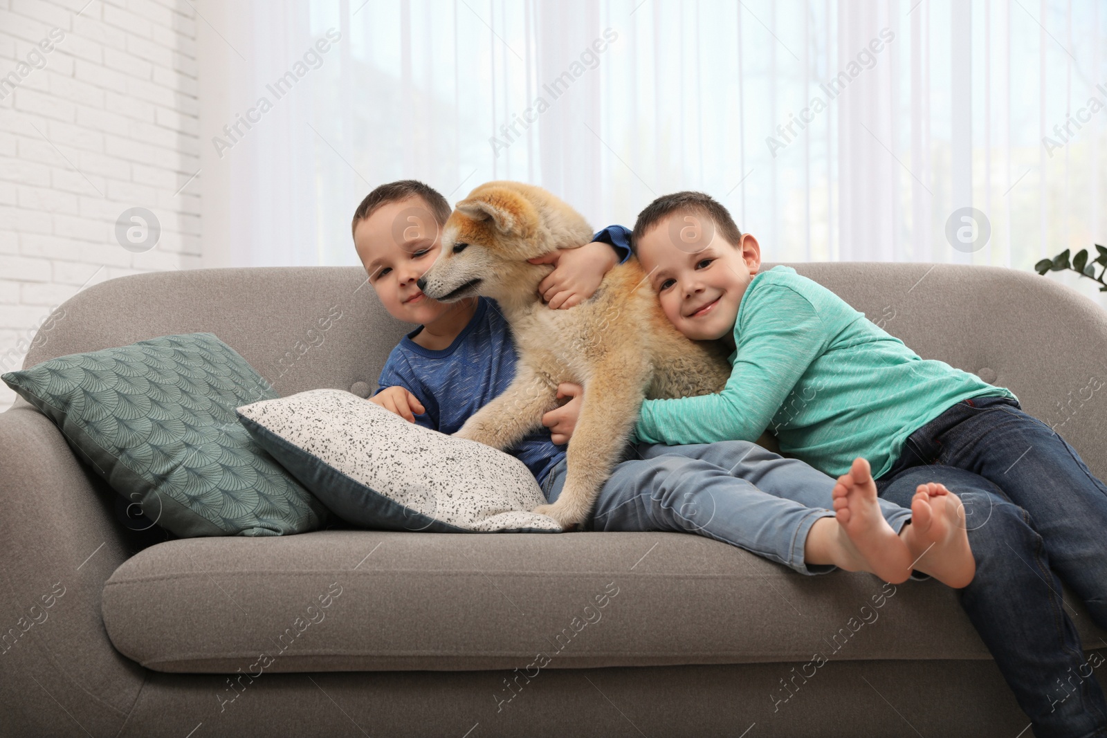 Photo of Happy boys with Akita Inu dog on sofa in living room. Little friends