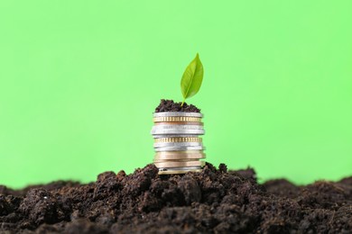 Stack of coins and green plant on soil against blurred background. Profit concept