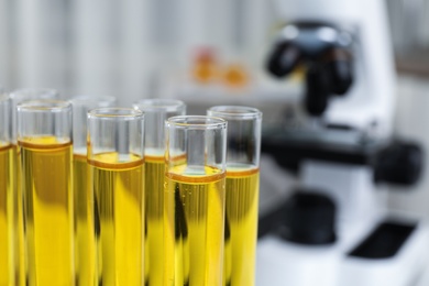 Test tubes with urine samples for analysis, closeup