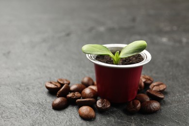 Photo of Coffee capsule with seedling and beans on black table, closeup. Space for text