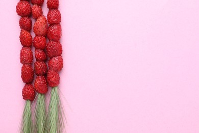 Photo of Grass stem with wild strawberries on pink table, flat lay. Space for text