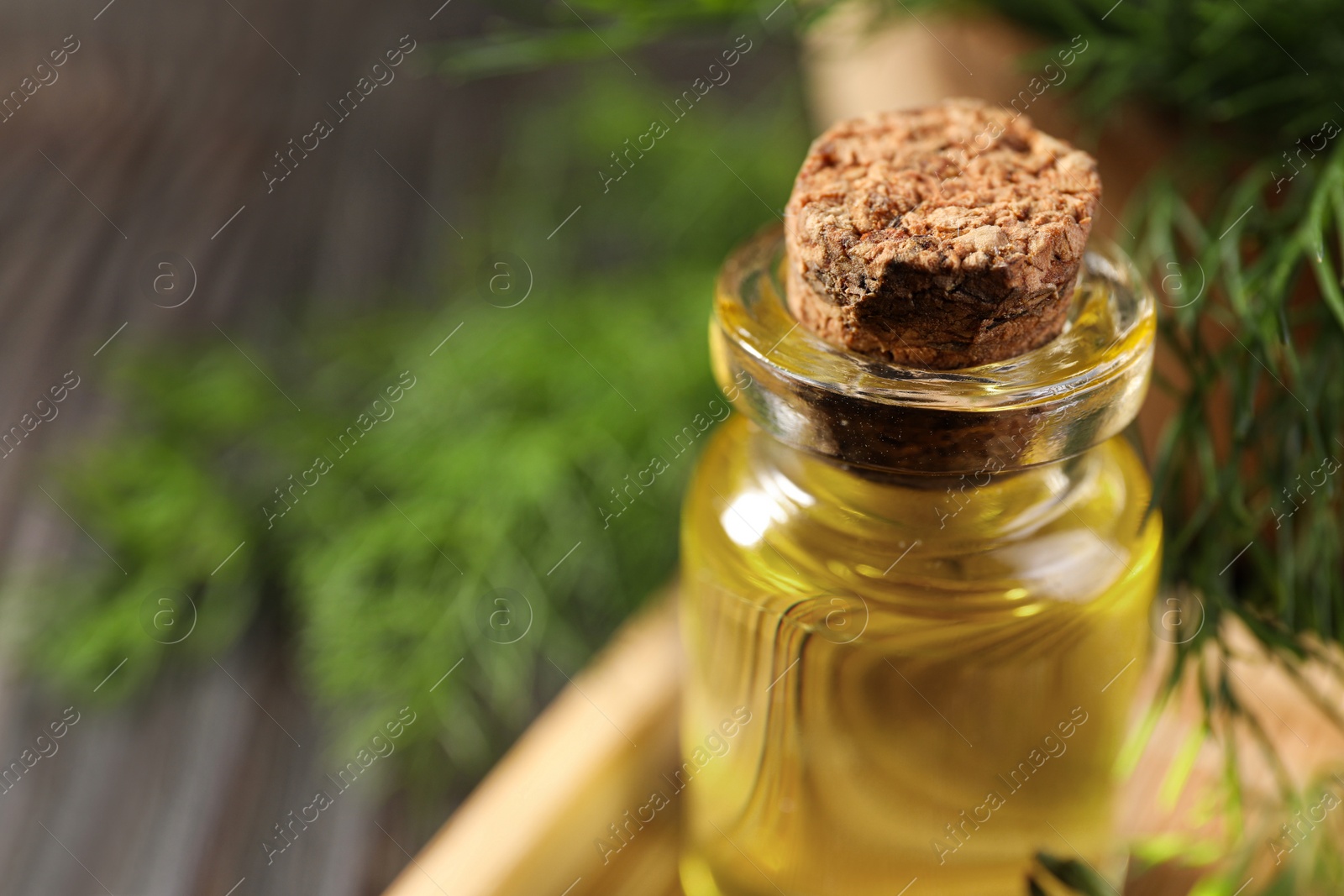 Photo of Bottle of essential oil and fresh dill on table, closeup. Space for text