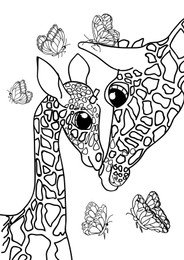 Cute giraffes and butterflies on white background, illustration. Coloring page 